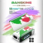 一次性電子煙｜Bang King Ice Cool 60000 西瓜冰口味