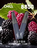 一次性電子煙｜CHILL 鴨嘴獸｜8800口 覆盆子森林口味