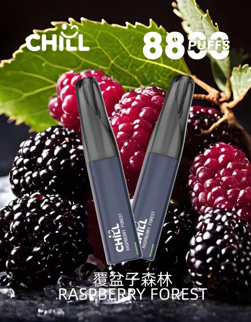 一次性電子煙｜CHILL 鴨嘴獸｜8800口 覆盆子森林口味