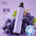 一次性電子煙｜KIS5 磁吸雙味 6500口 葡萄口味