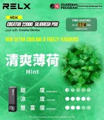 一次性電子煙｜RELX 悅刻 Creator 22000 積木套裝 薄荷口味