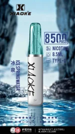 一次性電子煙｜XIAOKE 梟客 8500口 冰泉口味