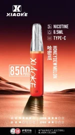 一次性電子煙｜XIAOKE 梟客 8500口 哈密瓜口味