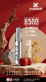 一次性電子煙｜XIAOKE 梟客 8500口 山楂口味