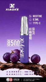 一次性電子煙｜XIAOKE 梟客 8500口 巨峰葡萄口味