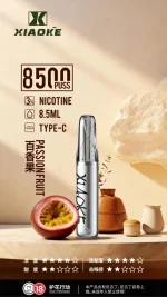 一次性電子煙｜XIAOKE 梟客 8500口 百香果口味