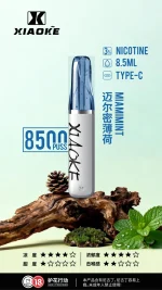 一次性電子煙｜XIAOKE 梟客 8500口 薄荷口味 1