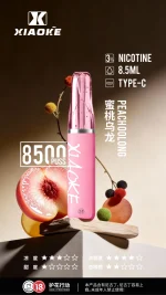 一次性電子煙｜XIAOKE 梟客 8500口 蜜桃烏龍口味