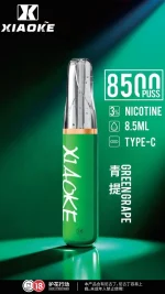 一次性電子煙｜XIAOKE 梟客 8500口 青提口味