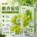 哩亞ILIA-ULTRA-5代煙彈-麝香葡萄-口味 哩亞ILIA ULTRA 5代煙彈 麝香葡萄 口味