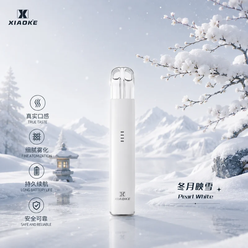 換彈式主機｜XIAOKE 五代主機 冬月映雪