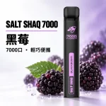 一次性電子煙｜SHAQ 7000口 黑莓