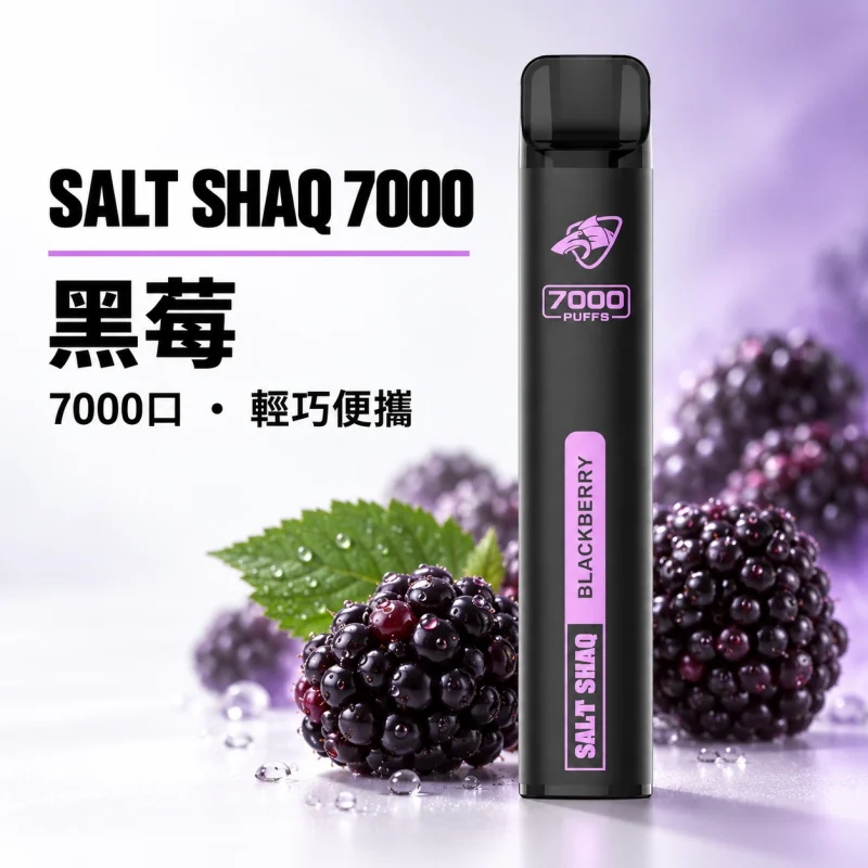 一次性電子煙｜SHAQ 7000口 黑莓